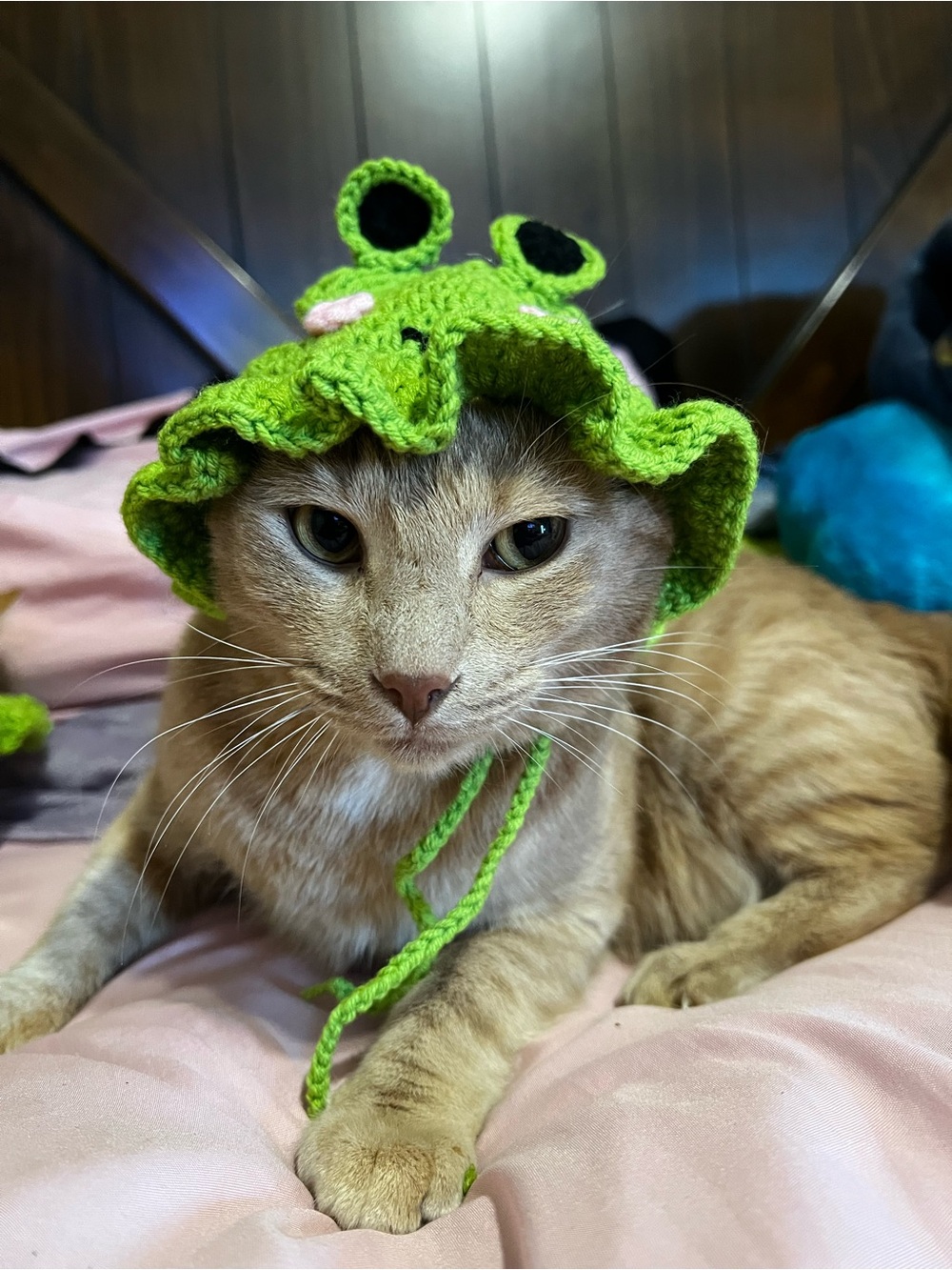 Handmade Green Frog Knit Cat Hatswith Ties -2 hats